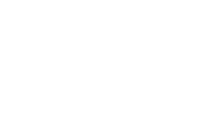 FINPLE